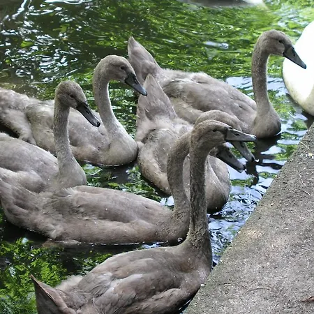 Lejlighed Domizil Neu Venedig Berlin