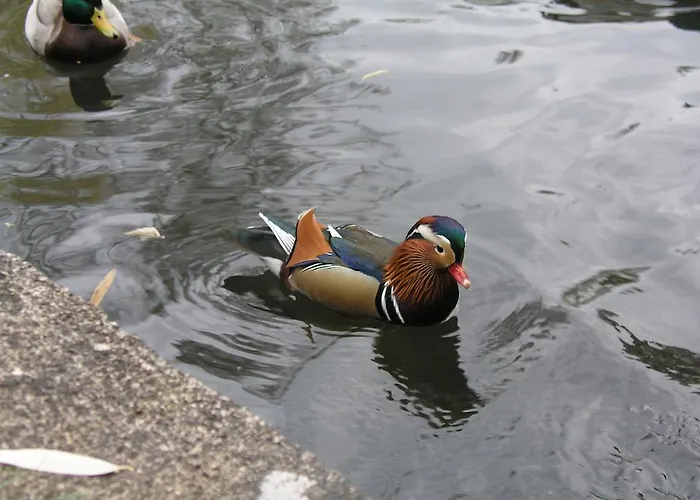 Domizil Neu Venedig Lejlighed *