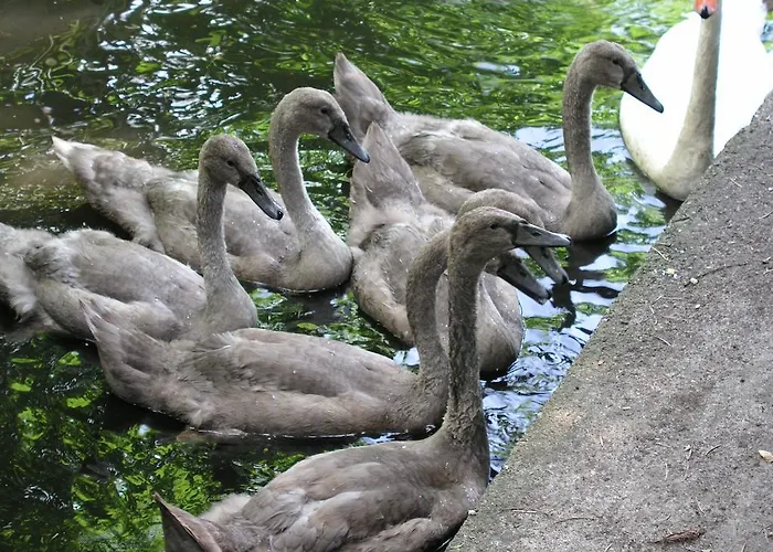 아파트 Domizil Neu Venedig 베를린